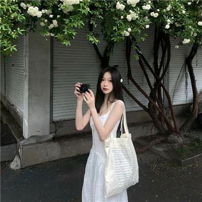 贞观盛事